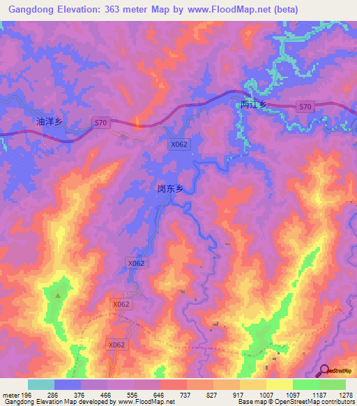 Gangdong,China Elevation Map