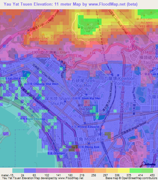 Yau Yat Tsuen,Hong Kong Elevation Map