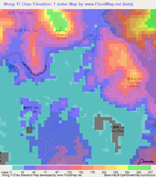 Wong Yi Chau,Hong Kong Elevation Map
