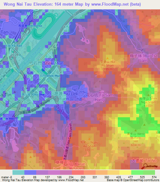 Wong Nai Tau,Hong Kong Elevation Map