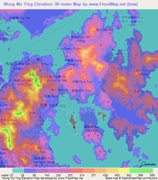 Wong Mo Ying,Hong Kong Elevation Map