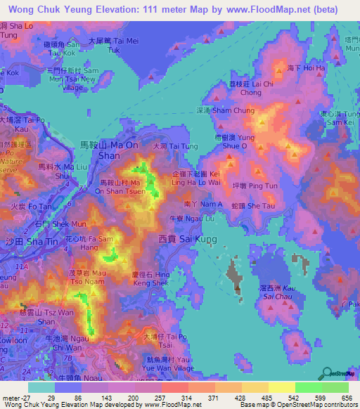 Wong Chuk Yeung,Hong Kong Elevation Map