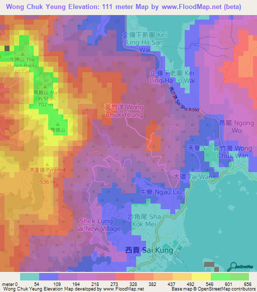 Wong Chuk Yeung,Hong Kong Elevation Map