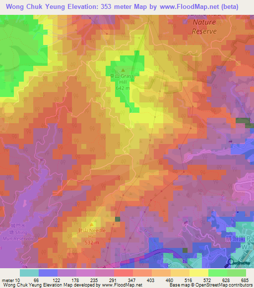 Wong Chuk Yeung,Hong Kong Elevation Map