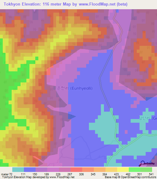 Tokhyon,South Korea Elevation Map