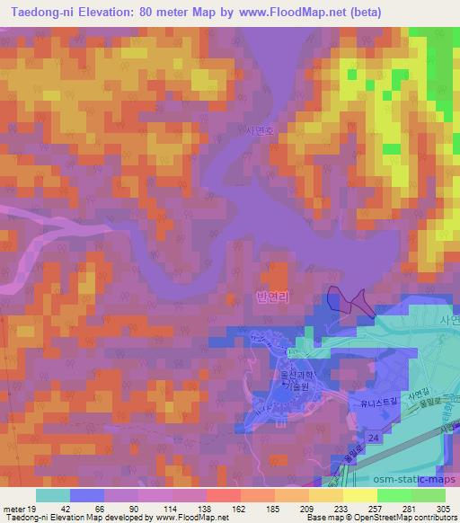 Taedong-ni,South Korea Elevation Map