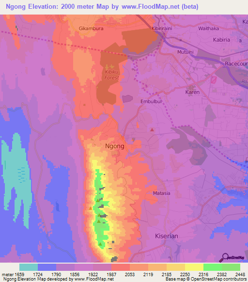 Ngong,Kenya Elevation Map