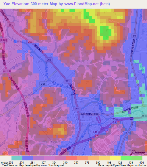 Yae,Japan Elevation Map