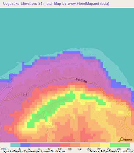 Uegusuku,Japan Elevation Map