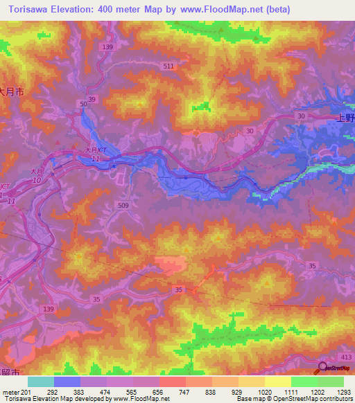 Torisawa,Japan Elevation Map