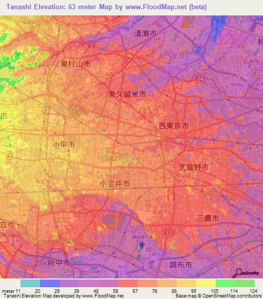 Tanashi,Japan Elevation Map