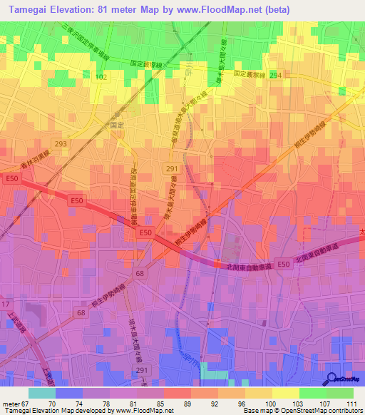 Tamegai,Japan Elevation Map