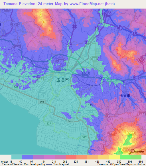Tamana,Japan Elevation Map
