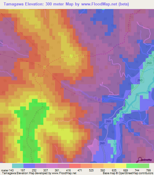 Tamagawa,Japan Elevation Map