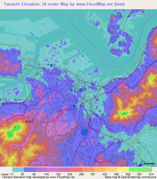 Tamachi,Japan Elevation Map