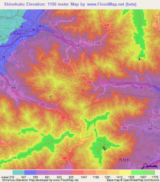 Shinshuku,Japan Elevation Map