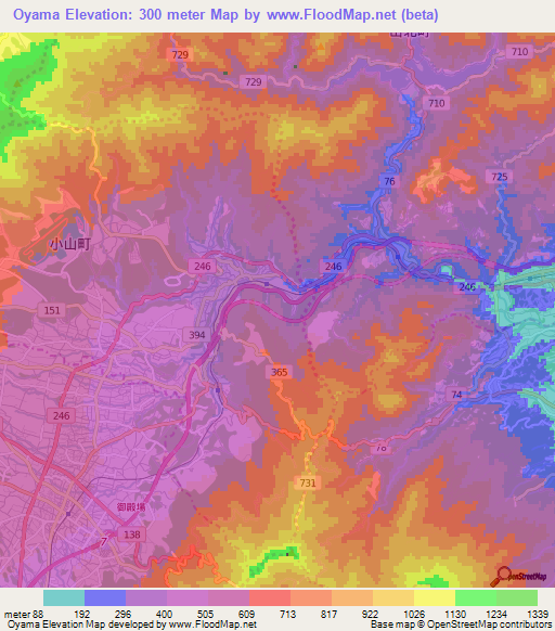Oyama,Japan Elevation Map
