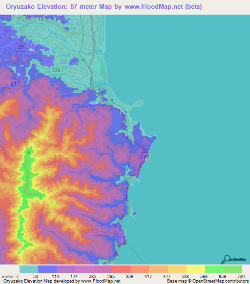 Oryuzako,Japan Elevation Map