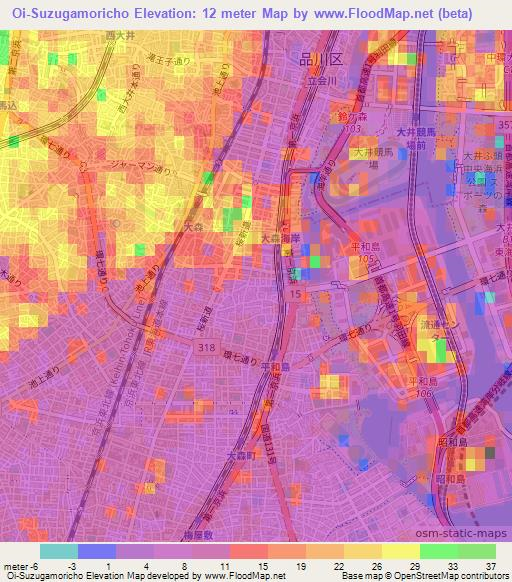 Oi-Suzugamoricho,Japan Elevation Map