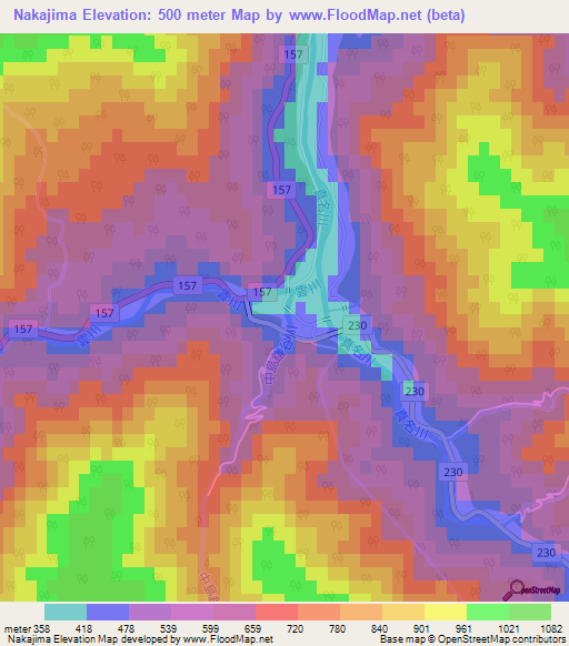Nakajima,Japan Elevation Map