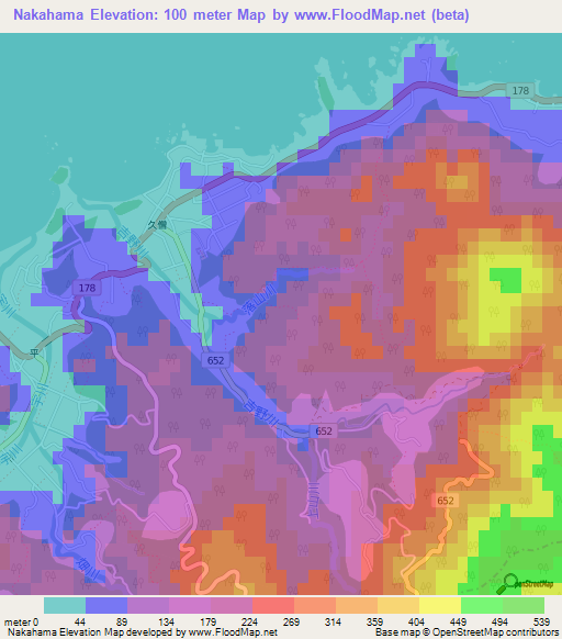Nakahama,Japan Elevation Map