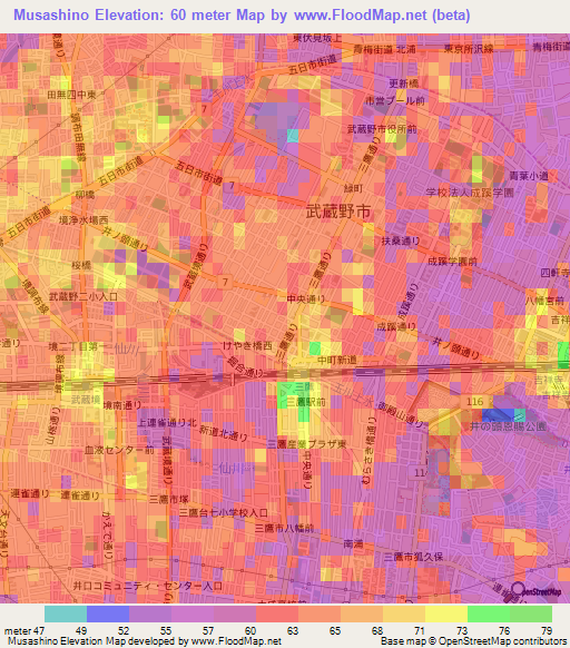 Musashino,Japan Elevation Map
