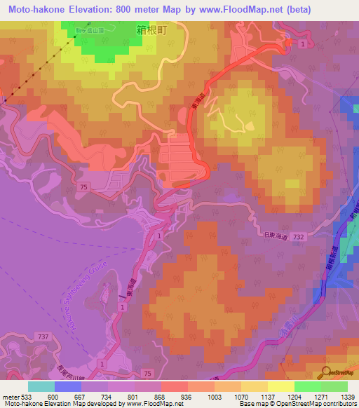 Moto-hakone,Japan Elevation Map