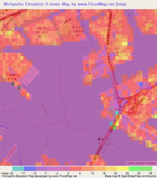 Moriyacho,Japan Elevation Map