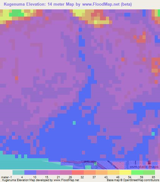 Kugenuma,Japan Elevation Map