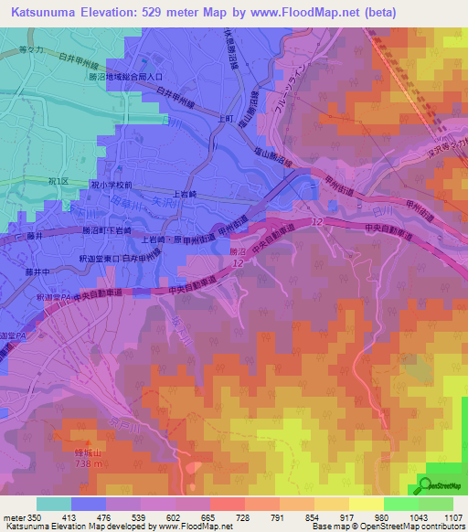 Katsunuma,Japan Elevation Map