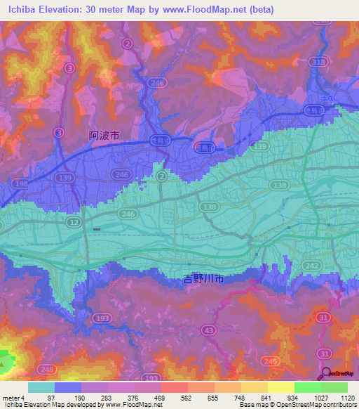 Ichiba,Japan Elevation Map
