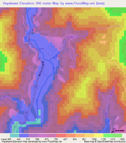 Hayakawa,Japan Elevation Map