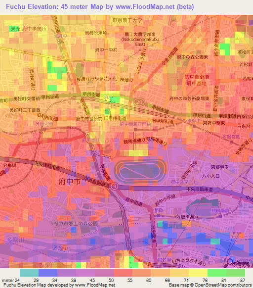 Fuchu,Japan Elevation Map