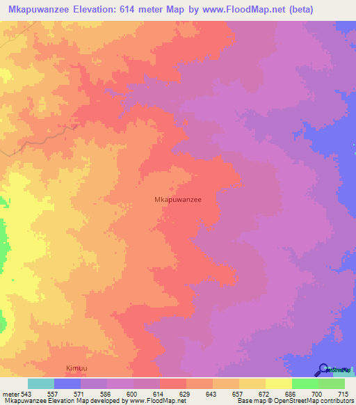 Mkapuwanzee,Kenya Elevation Map