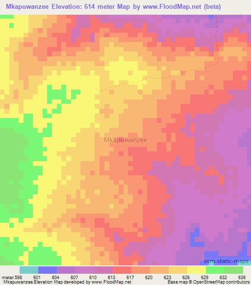 Mkapuwanzee,Kenya Elevation Map