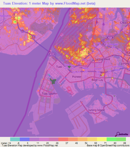 Tuas,Singapore Elevation Map