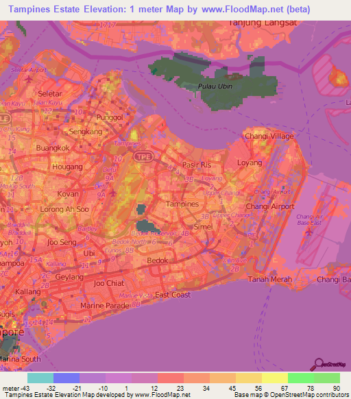 Tampines Estate,Singapore Elevation Map