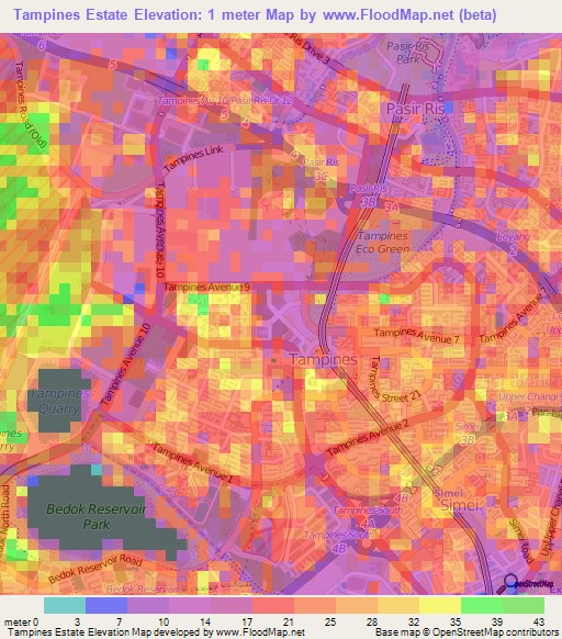 Tampines Estate,Singapore Elevation Map