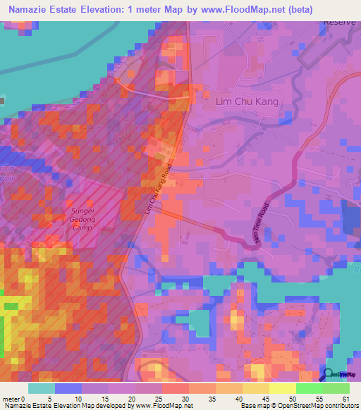 Namazie Estate,Singapore Elevation Map