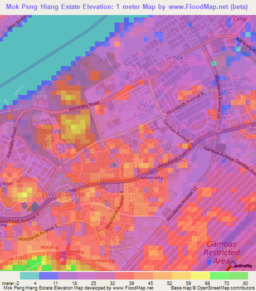 Mok Peng Hiang Estate,Singapore Elevation Map