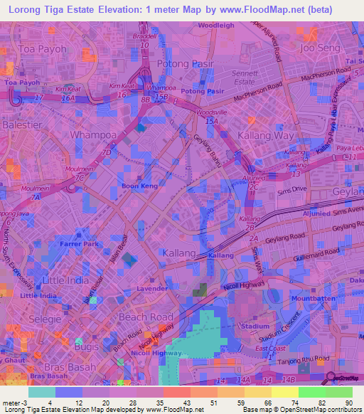 Lorong Tiga Estate,Singapore Elevation Map