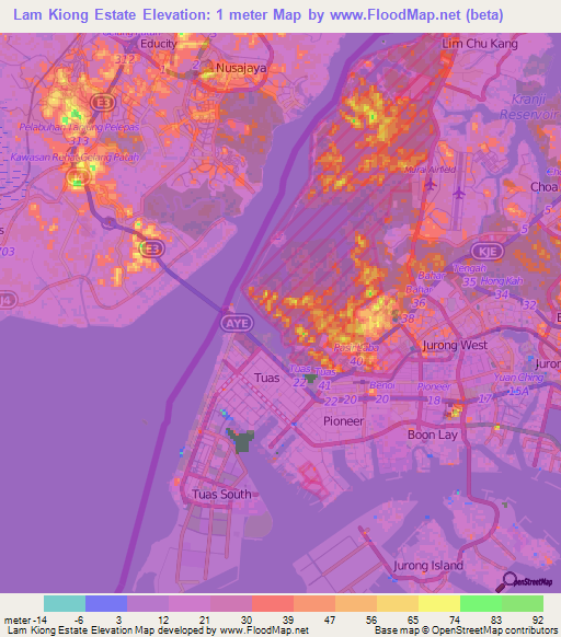 Lam Kiong Estate,Singapore Elevation Map