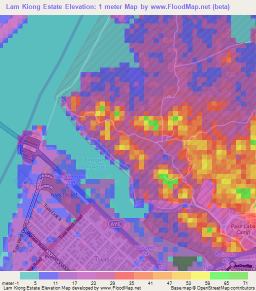 Lam Kiong Estate,Singapore Elevation Map
