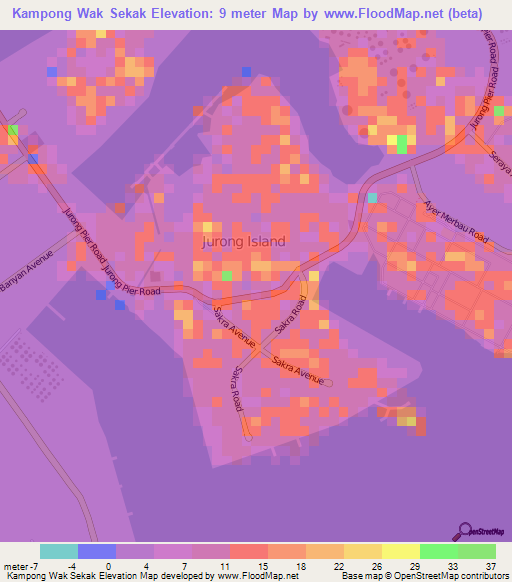 Kampong Wak Sekak,Singapore Elevation Map