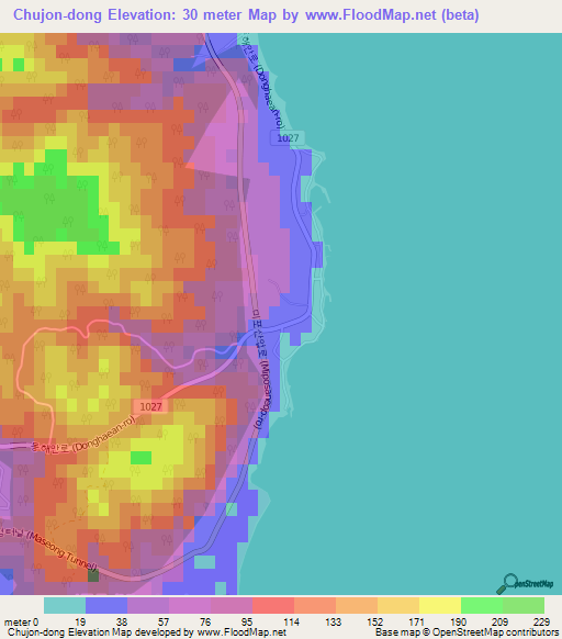 Chujon-dong,South Korea Elevation Map