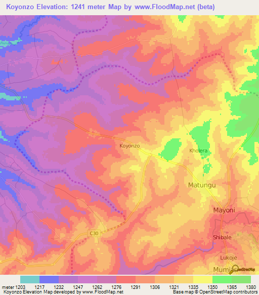 Koyonzo,Kenya Elevation Map