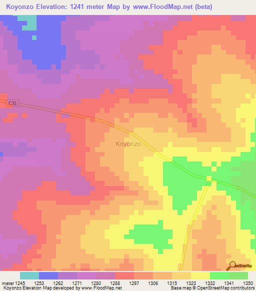 Koyonzo,Kenya Elevation Map