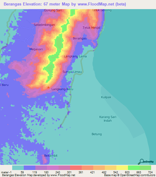 Berangas,Indonesia Elevation Map