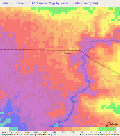 Kibigori,Kenya Elevation Map