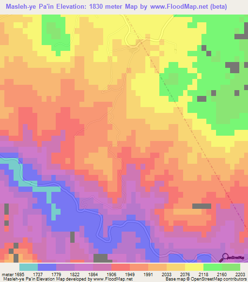 Masleh-ye Pa'in,Iran Elevation Map